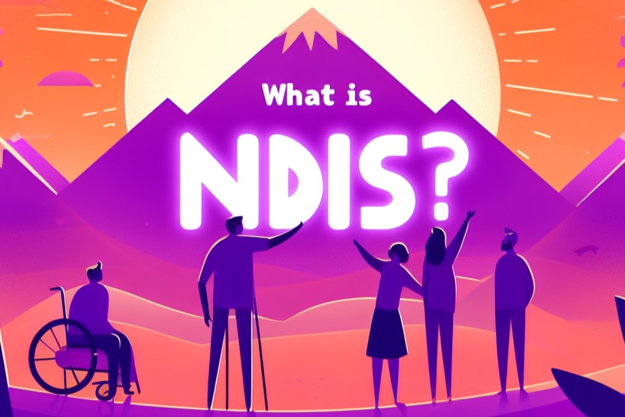 What is NDIS?